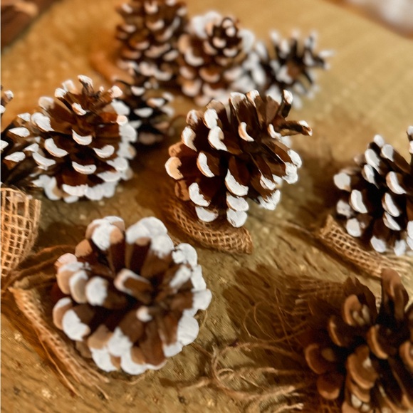 Handmade pine cones Christmas Ornaments - Picture 7 of 7